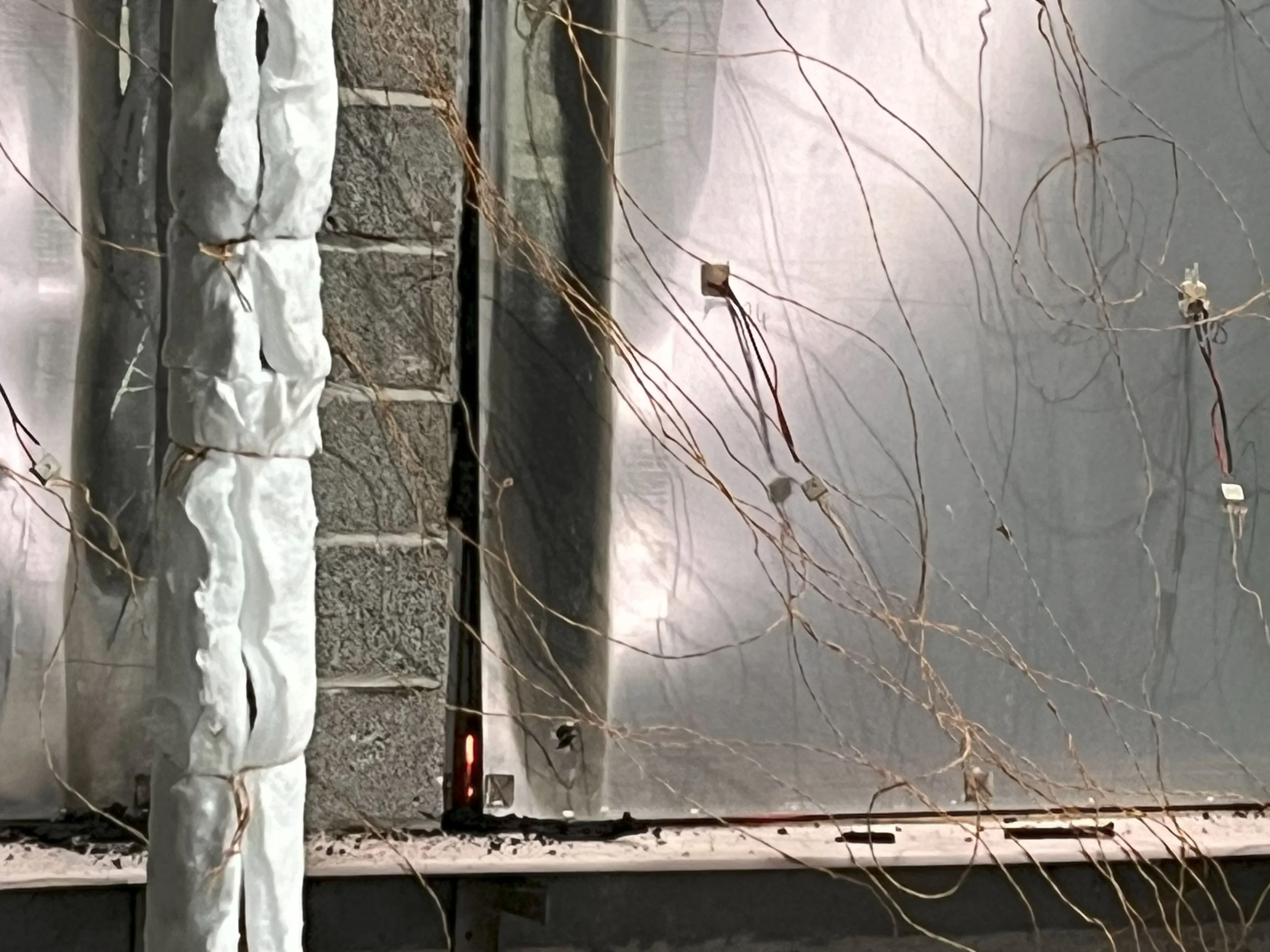 img 8865 (convert.io)